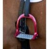 Étriers Performance En Aluminium Premier Equine Jopollo