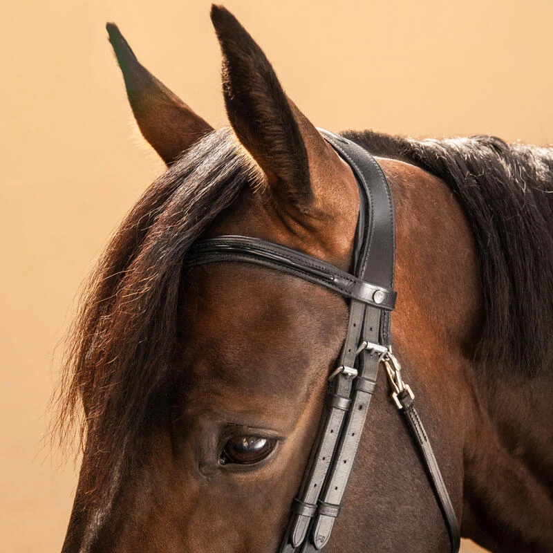 Filet équitation Cuir Muserolle Française Glossy Cheval Et Poney - 580 Noir 5 Filet équitation Cuir Muserolle Française Glossy Cheval Et Poney - 580 Noir – Image 5