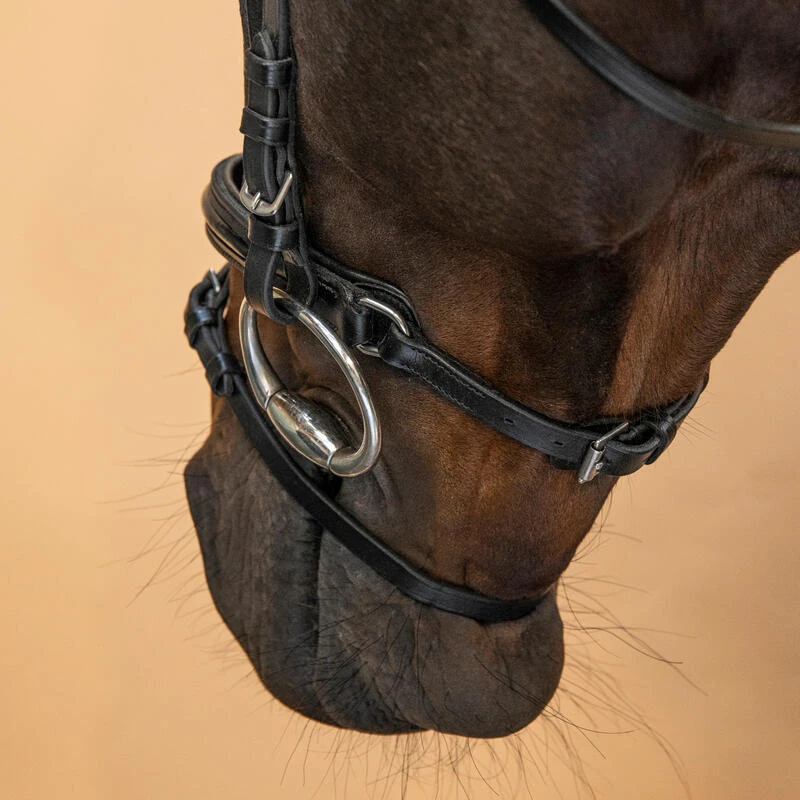 Filet équitation Cuir Muserolle Française Glossy Cheval Et Poney - 580 Noir 7 Filet équitation Cuir Muserolle Française Glossy Cheval Et Poney - 580 Noir – Image 7