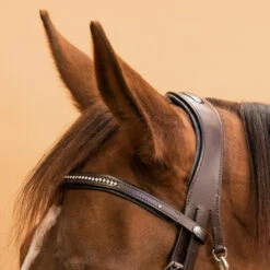 Filet équitation Cuir Muserolle Française Strass - 580 Marron 13 Filet équitation Cuir Muserolle Française Strass - 580 Marron -Fournitures Équestres Magasin filet equitation cuir muserolle francaise strass 580 marron 3