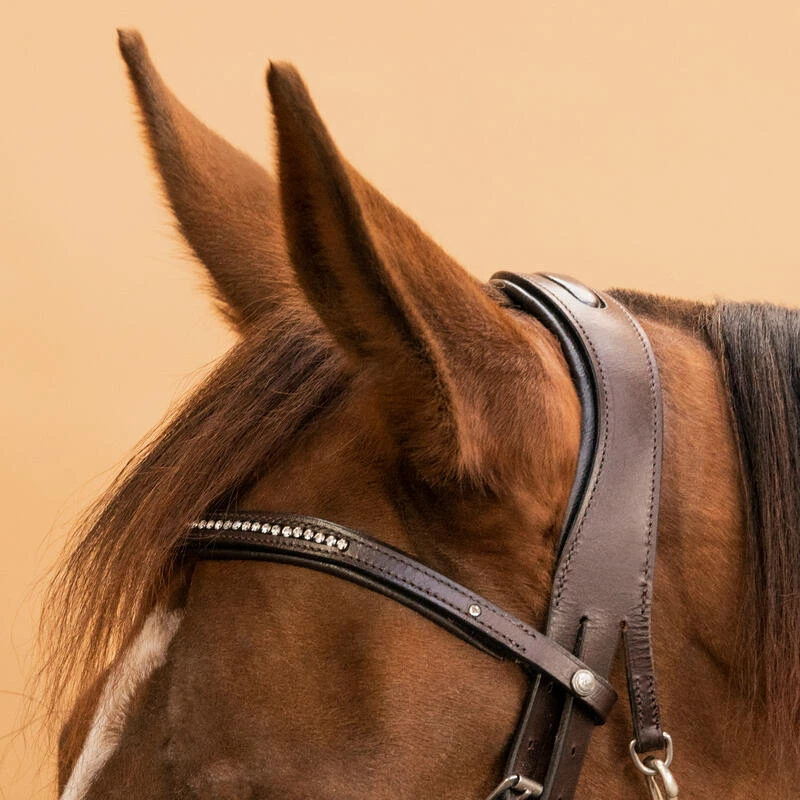 Filet équitation Cuir Muserolle Française Strass - 580 Marron 4 Filet équitation Cuir Muserolle Française Strass - 580 Marron – Image 4