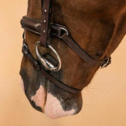 Filet équitation Cuir Muserolle Française Strass - 580 Marron 17 Filet équitation Cuir Muserolle Française Strass - 580 Marron -Fournitures Équestres Magasin filet equitation cuir muserolle francaise strass 580 marron 7