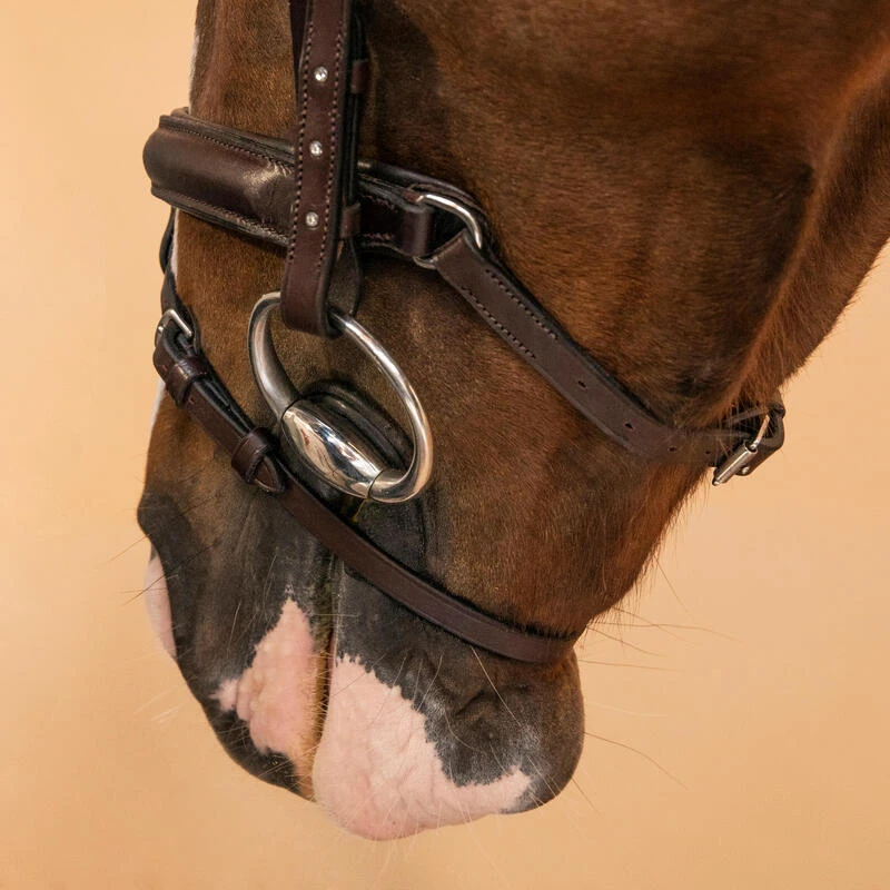 Filet équitation Cuir Muserolle Française Strass - 580 Marron 8 Filet équitation Cuir Muserolle Française Strass - 580 Marron – Image 8