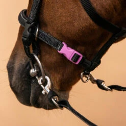 Filet Et Rênes équitation Synthétique Initiation Poney - 100 Noir 13 Filet Et Rênes équitation Synthétique Initiation Poney - 100 Noir -Fournitures Équestres Magasin filet et renes equitation synthetique initiation poney 100 noir 6