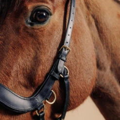 Filet Sans Mors équitation Cheval Et Poney - Noir -Fournitures Équestres Magasin filet sans mors equitation cheval et poney noir 2