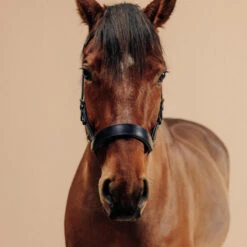 Filet Sans Mors équitation Cheval Et Poney - Noir -Fournitures Équestres Magasin filet sans mors equitation cheval et poney noir 3