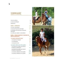 Fonctionnement Musculaire Du Cavalier - Confort Et Performance 6 Fonctionnement Musculaire Du Cavalier - Confort Et Performance -Fournitures Équestres Magasin fonctionnement musculaire du cavalier confort et performance 2