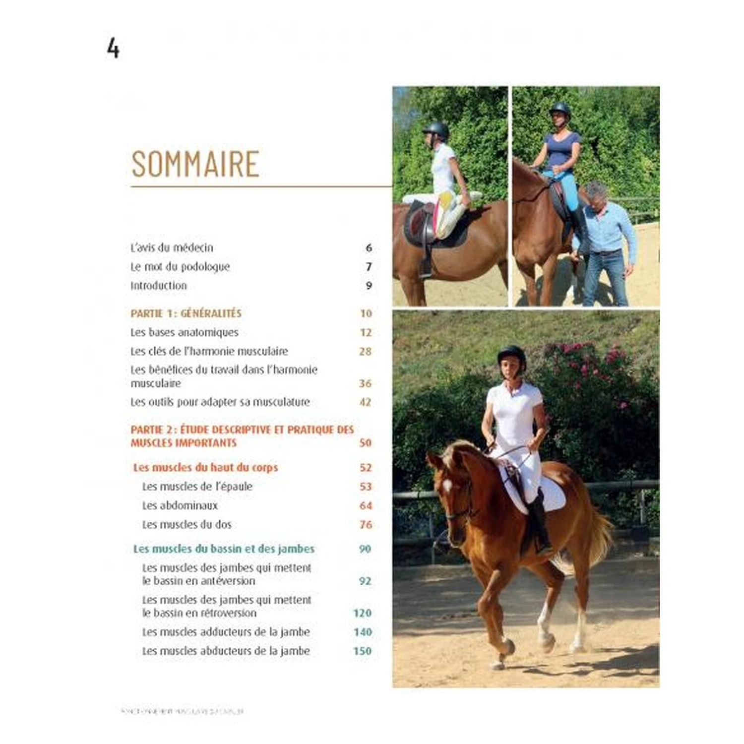 Fonctionnement Musculaire Du Cavalier - Confort Et Performance 3 Fonctionnement Musculaire Du Cavalier - Confort Et Performance – Image 3