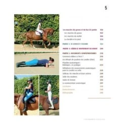 Fonctionnement Musculaire Du Cavalier - Confort Et Performance 7 Fonctionnement Musculaire Du Cavalier - Confort Et Performance -Fournitures Équestres Magasin fonctionnement musculaire du cavalier confort et performance 3