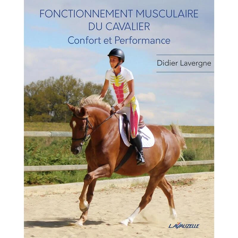 Fonctionnement Musculaire Du Cavalier - Confort Et Performance 1 Fonctionnement Musculaire Du Cavalier - Confort Et Performance