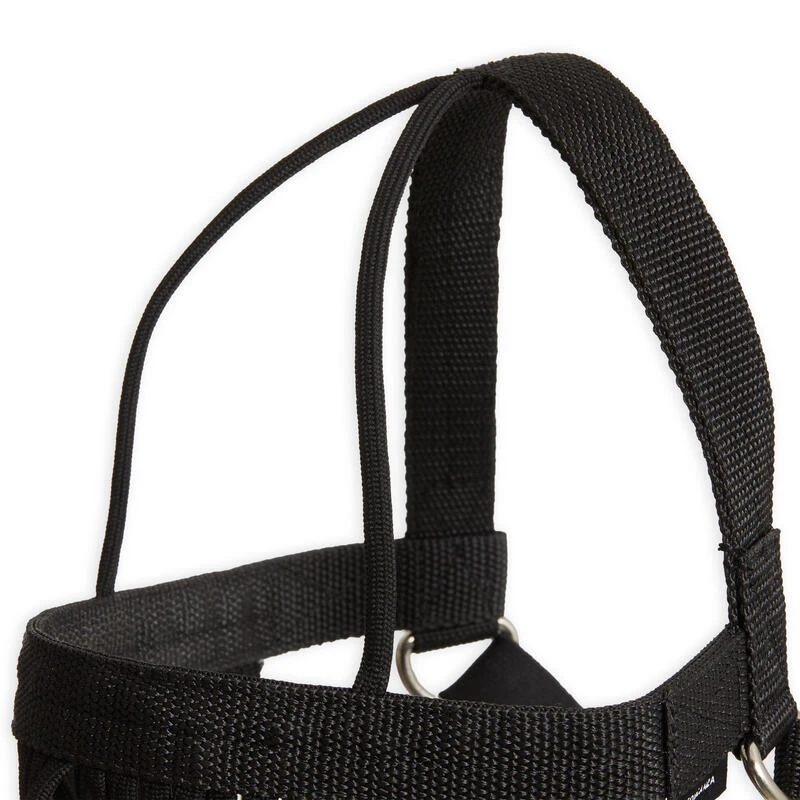 Frontal Anti-mouche De Pré équitation Poney - Noir 2 Frontal Anti-mouche De Pré équitation Poney - Noir – Image 2