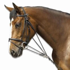 Gogue équitation Cheval - Schooling Noir -Fournitures Équestres Magasin gogue equitation cheval schooling noir 7