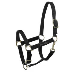 Licol En Nylon Avec Rembourrage En Cuir