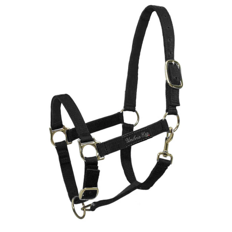 Licol En Nylon Avec Rembourrage En Cuir 1 Licol En Nylon Avec Rembourrage En Cuir