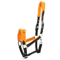 Licol Epplejeck Noir