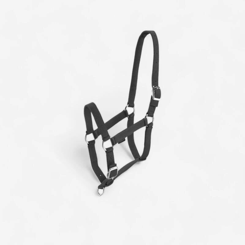 Licol équitation Cheval Et Poney SCHOOLING Noir 1 Licol équitation Cheval Et Poney SCHOOLING Noir