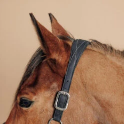 Licol équitation Cuir Synthétique Cheval Et Poney - 500 Noir -Fournitures Équestres Magasin licol equitation cuir synthetique cheval et poney 500 noir 4