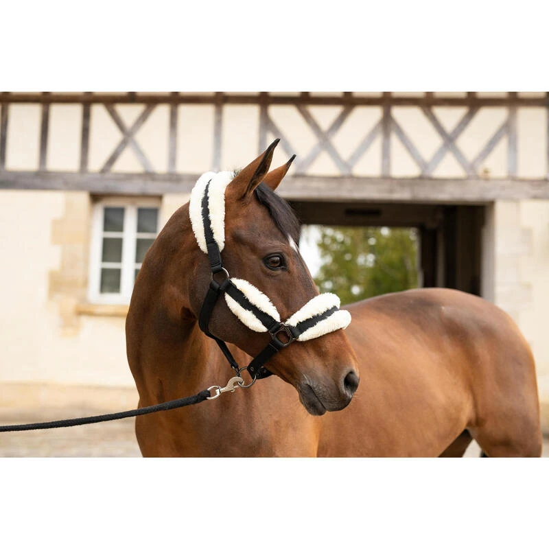Licol équitation Mouton Synthétique Poney - Noir Et Beige 2 Licol équitation Mouton Synthétique Poney - Noir Et Beige – Image 2