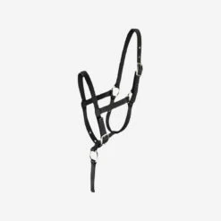 Licol équitation Poulain - Foal Noir