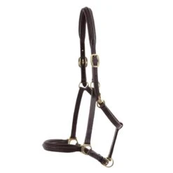 Licol Pour Cheval Rembourré Cuir Premier Equine 7 Licol Pour Cheval Rembourré Cuir Premier Equine -Fournitures Équestres Magasin licol pour cheval rembourre cuir premier equine 3