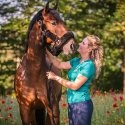 Licol Suave Horsegear Noir -Fournitures Équestres Magasin licol suave horsegear noir 3