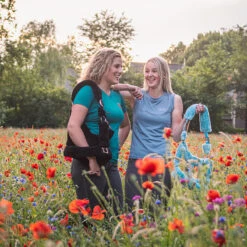 Licol Suave Horsegear Noir -Fournitures Équestres Magasin licol suave horsegear noir 4