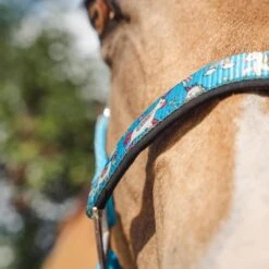 Licol Sweetie Epplejeck Bleu Clair -Fournitures Équestres Magasin licol sweetie epplejeck bleu clair 2
