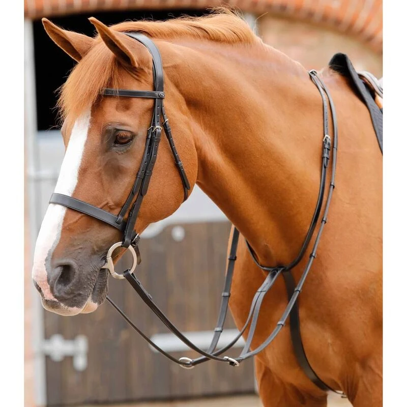 Martingale Pour Cheval Premier Equine Fuscaldo 1 Martingale Pour Cheval Premier Equine Fuscaldo