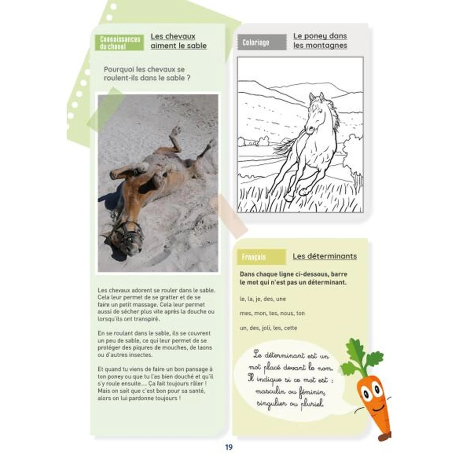 Mon Cahier D'activités Sur Le Thème Du Cheval - CE1 3 Mon Cahier D'activités Sur Le Thème Du Cheval - CE1 – Image 3