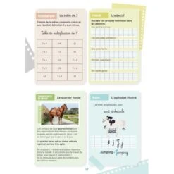 Mon Cahier D'activités Sur Le Thème Du Cheval - CE2 -Fournitures Équestres Magasin mon cahier dactivites sur le theme du cheval ce2 2