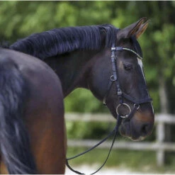 Mors 2 Anneaux Pour Cheval Sprenger Novocontact -Fournitures Équestres Magasin mors 2 anneaux pour cheval sprenger novocontact 3