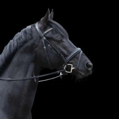 Mors Pour Cheval à Olive Dynamic Rs Sprenger -Fournitures Équestres Magasin mors pour cheval a olive dynamic rs sprenger 2