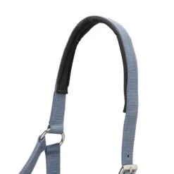 Pack Licol Et Longe équitation Cheval - Nubuc Bleu-gris -Fournitures Équestres Magasin pack licol et longe equitation cheval nubuc bleu gris 6
