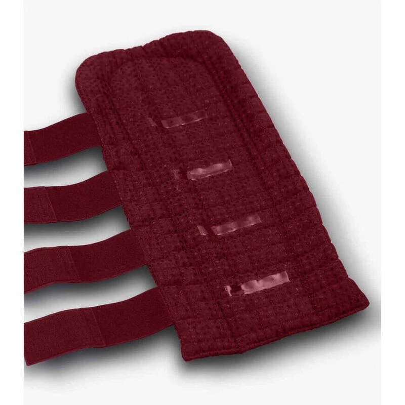 Protège-queue Pour Cheval Matelassé Gaufré à Double Verrouillage Premier Equine 1 Protège-queue Pour Cheval Matelassé Gaufré à Double Verrouillage Premier Equine