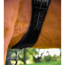 Sangle Anatomique D'équitation En Cuir Premier Equine Tamarro 7 Sangle Anatomique D'équitation En Cuir Premier Equine Tamarro -Fournitures Équestres Magasin sangle anatomique dequitation en cuir premier equine tamarro 3