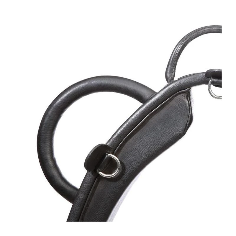 Sangle De Voltige Pour Cheval Kavalkade 4 Sangle De Voltige Pour Cheval Kavalkade – Image 4