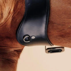 Sangle équitation Dressage En Cuir Cheval - 900 Noire 6 Sangle équitation Dressage En Cuir Cheval - 900 Noire -Fournitures Équestres Magasin sangle equitation dressage en cuir cheval 900 noire 2