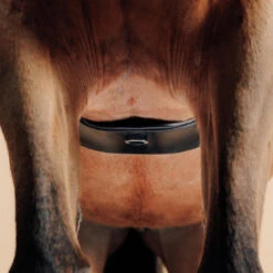 Sangle équitation Dressage En Cuir Cheval - 900 Noire 7 Sangle équitation Dressage En Cuir Cheval - 900 Noire -Fournitures Équestres Magasin sangle equitation dressage en cuir cheval 900 noire 3