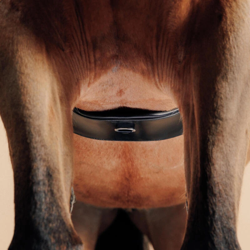 Sangle équitation Dressage En Cuir Cheval - 900 Noire 4 Sangle équitation Dressage En Cuir Cheval - 900 Noire – Image 4