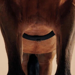 Surfaix De Travail équitation Cheval Et Poney - Noir -Fournitures Équestres Magasin surfaix de travail equitation cheval et poney noir 4