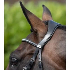 Têtière équitation Anatomique Premier Equine 8 Têtière équitation Anatomique Premier Equine -Fournitures Équestres Magasin tetiere equitation anatomique premier equine 3