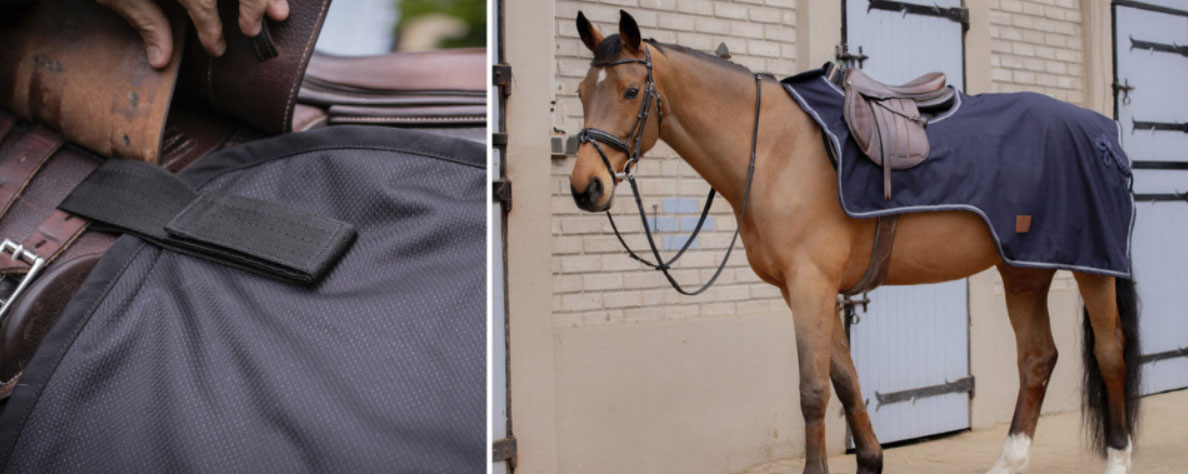 Fournitures Équestres Magasin 4 Fournitures Équestres Magasin -Fournitures Équestres Magasin dgdg